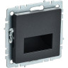 Подсветка встраиваемая IEK BRITE ПЛ20-БрЧ BR-FL20-K02